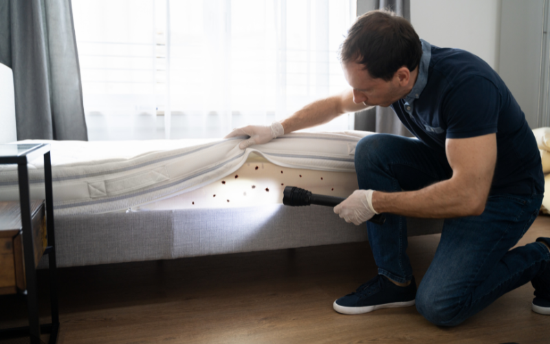 Fair Compensation For Bed Bugs In Hotel